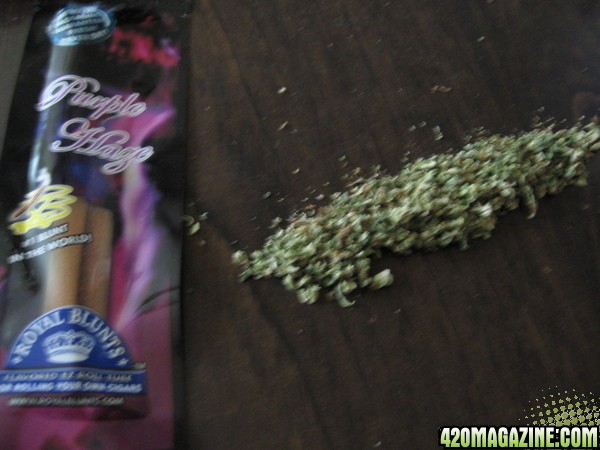 blunt030