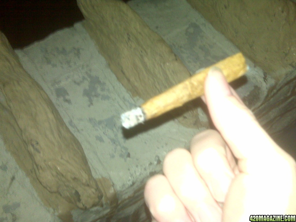 blunts_01