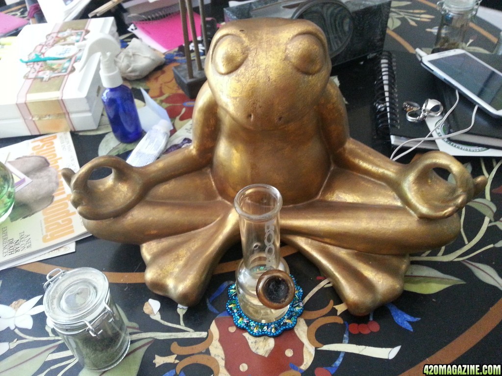 Bobby the Bubbler &amp; meditating frog