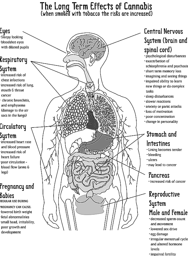 body_cannabis