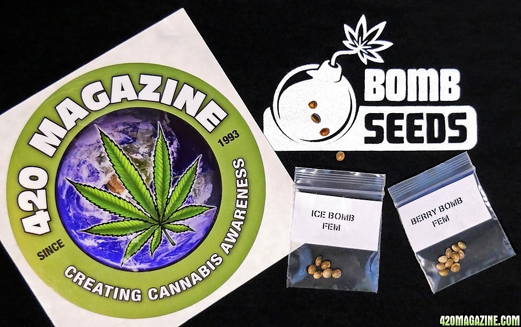 bomb-seeds-420.jpg