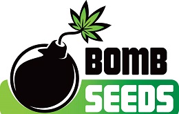 bomb seeds hp