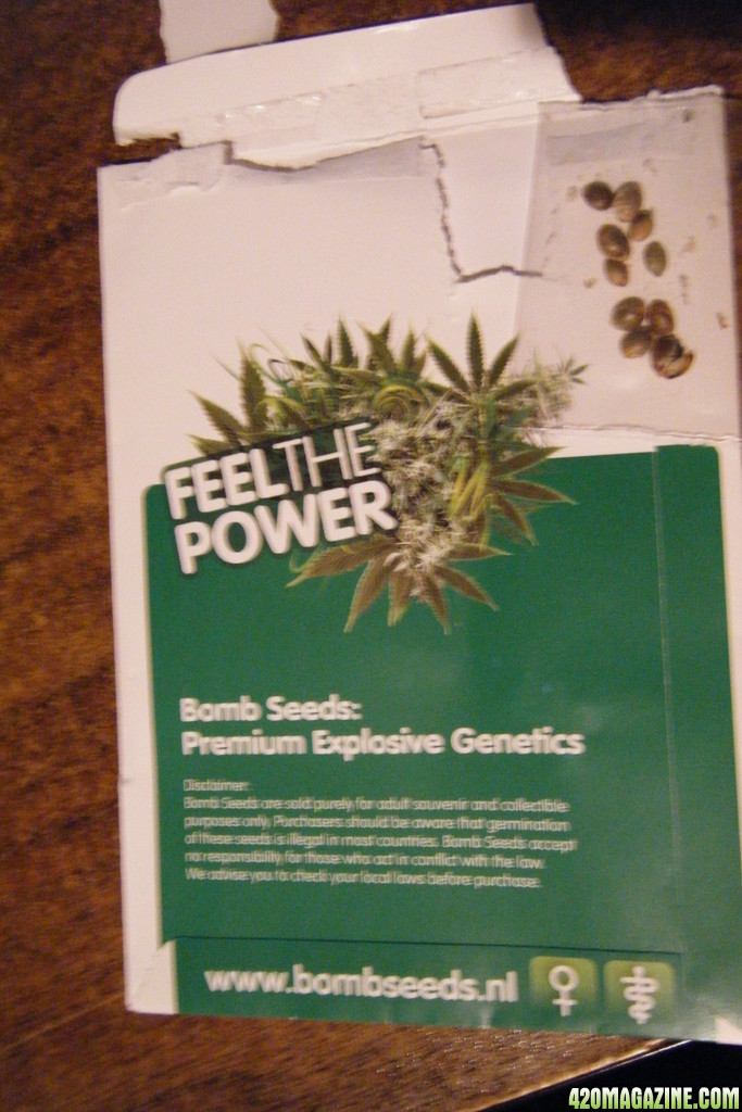 Bomb Seeds' THC Bomb seeds package back