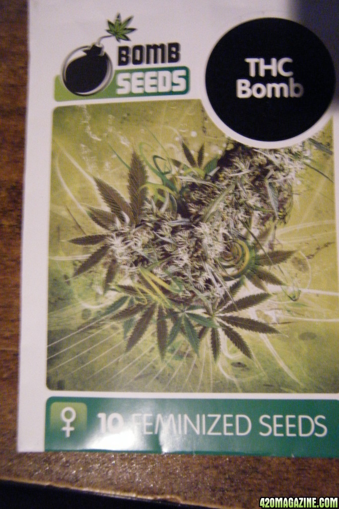 Bomb Seeds' THC Bomb seeds package front