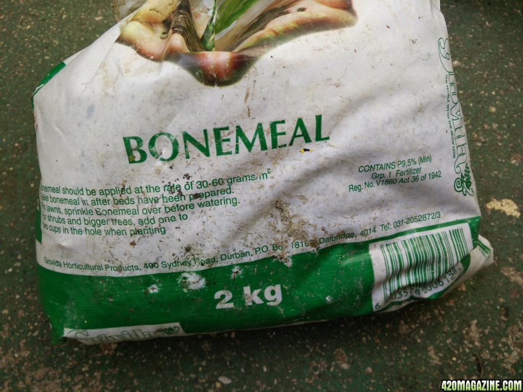 Bone Meal