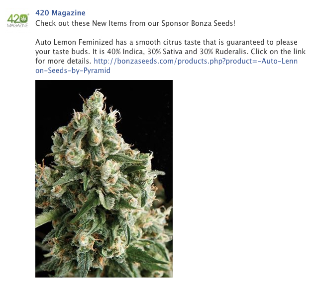 Bonza FB Ad 03/11/14