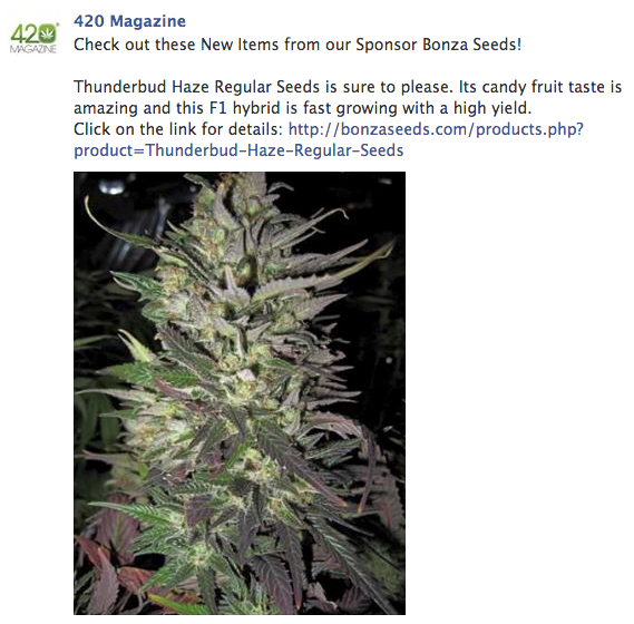 Bonza FB Ad 04/01/14