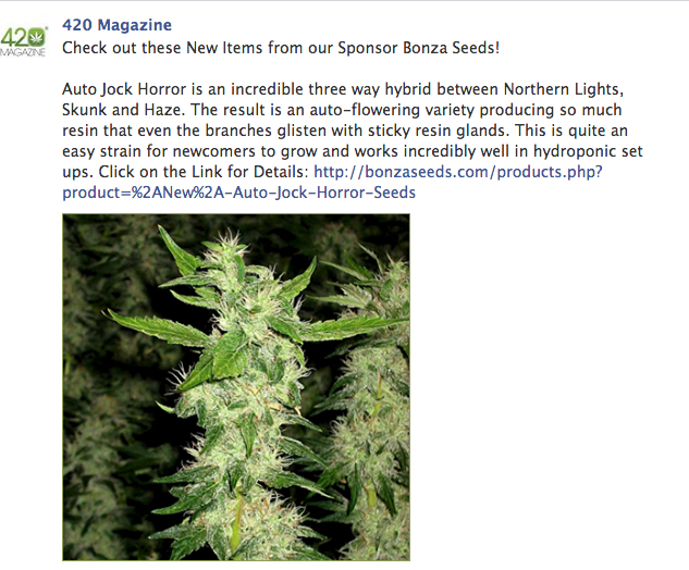 Bonza FB Ad 04/22/14