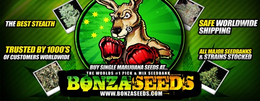 Bonza Seeds