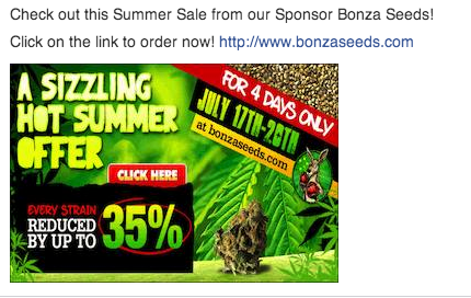 Bonza Summer Ad