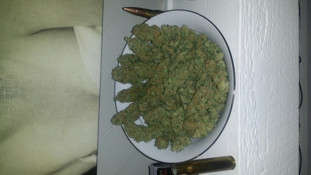 Bordello Bowl of Buds