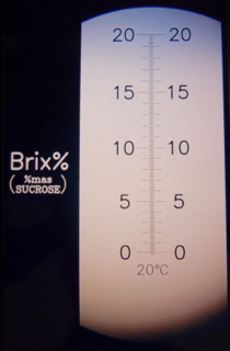 Brix reading 18-19%