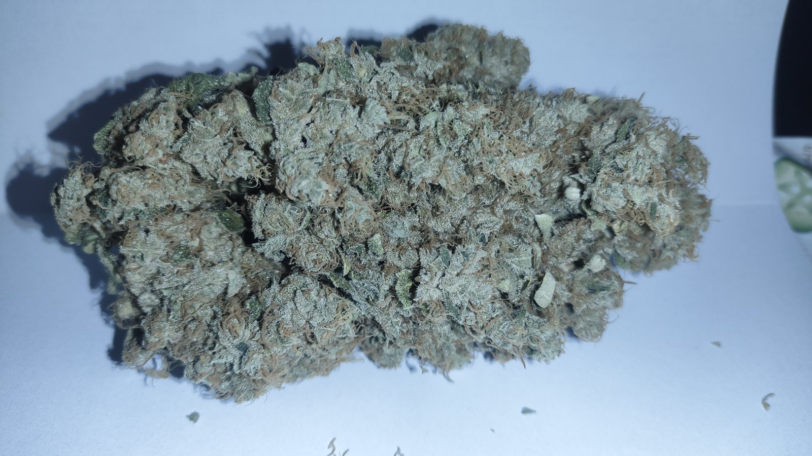 Bruce Banner