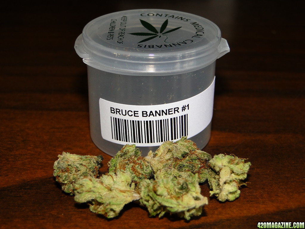 Bruce_Banner_1