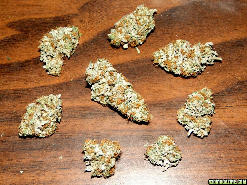 Bubba_Kush_Buds