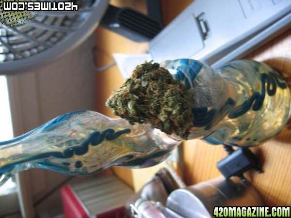 Bubbler and Bud