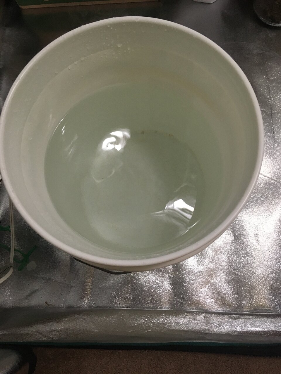 Bucket of water