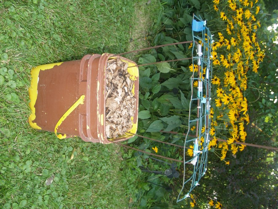 bucket-scrog01.jpg