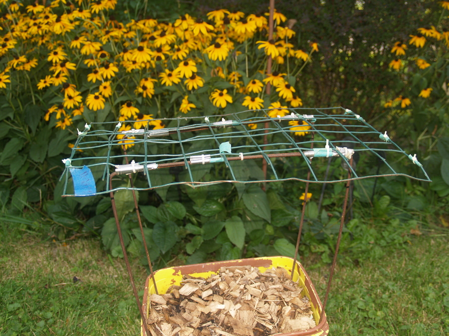 bucket-scrog02.jpg