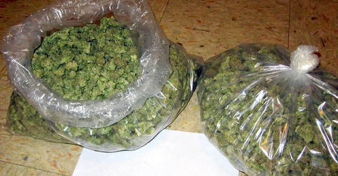 bud in bags