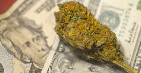 bud on money