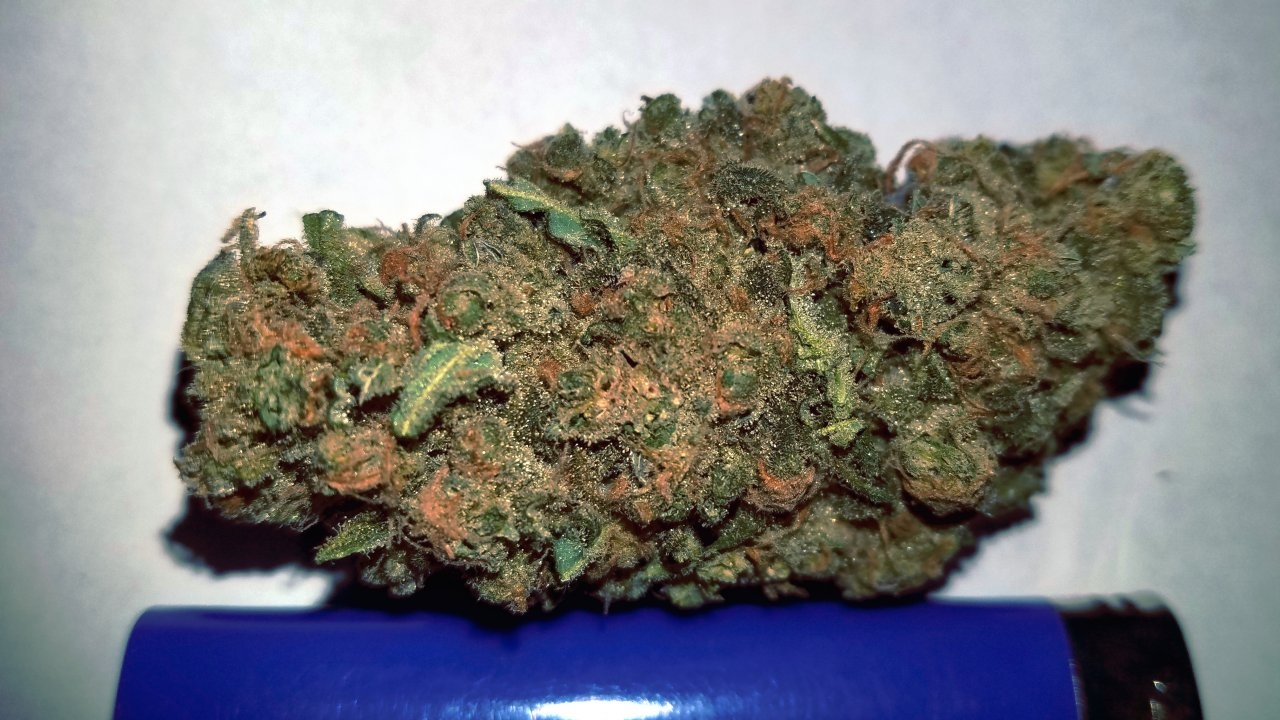 Bud-w-lighter - Copy.jpg