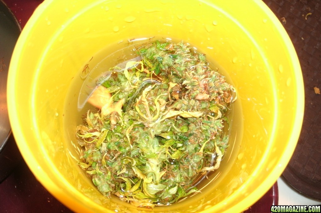 Bud Washing