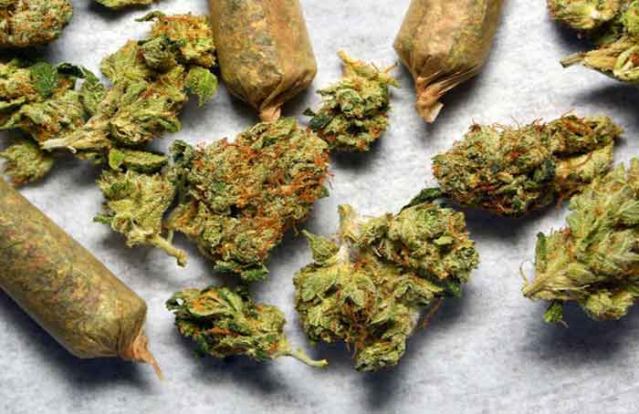 Buds Blunts - Getty Images