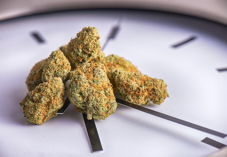 Buds on Clock - Shutterstock