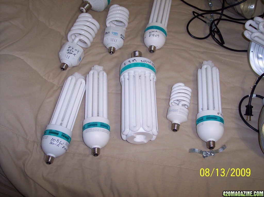 Bulbs  CFL