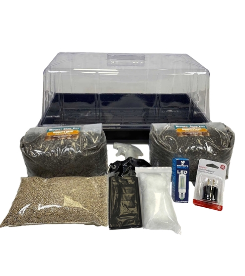 Bulk Spawn Grow Kit