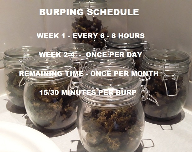 BURPING SCHEDULE.jpg