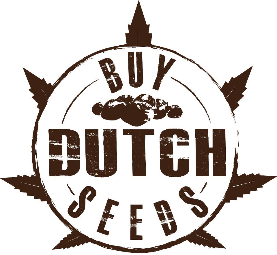 Buy Dutch Seeds