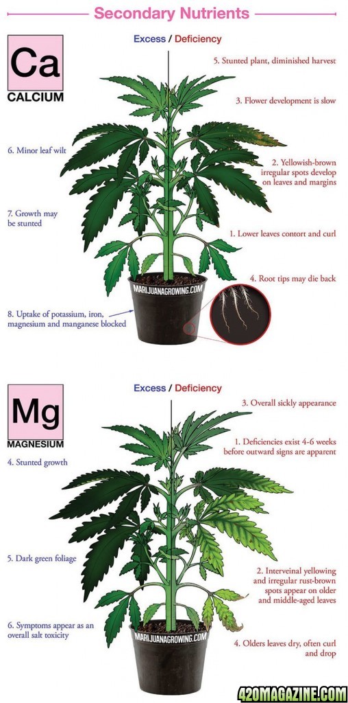 cal mag deficiency