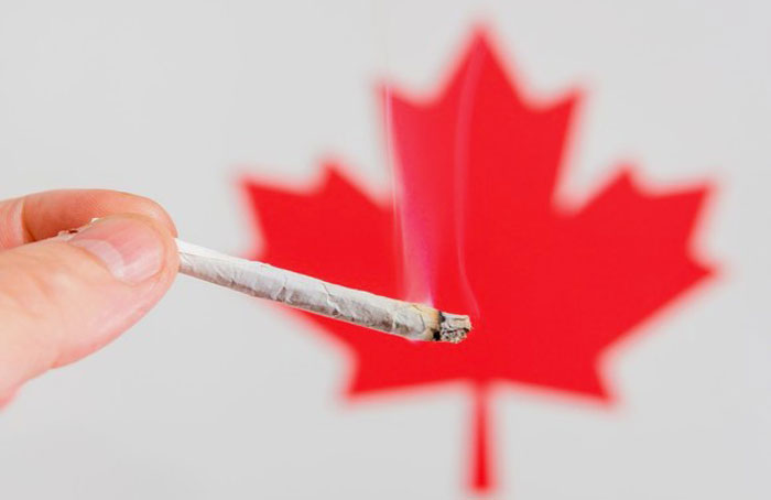 Canada Joint - Getty Images