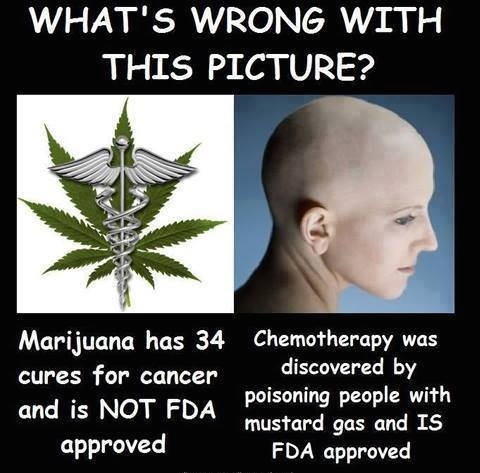 Cancer &amp; Cannabis