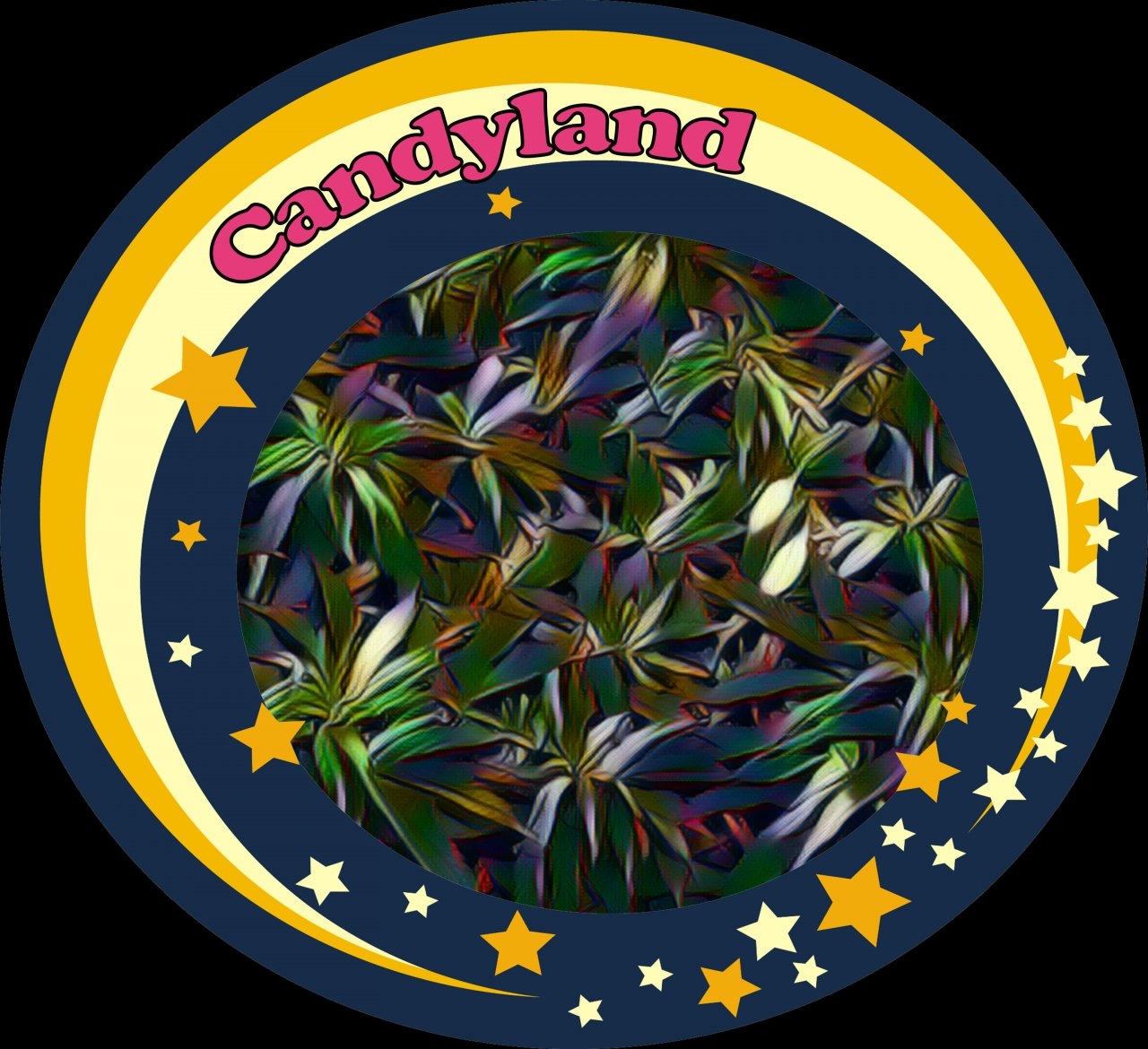 Candyland