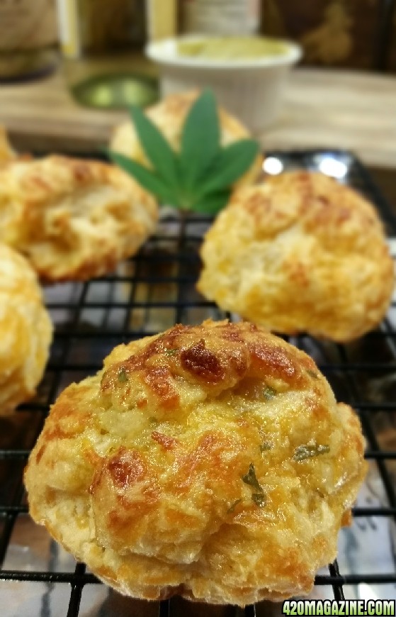 canna_cheddar_bay_biscuits_2