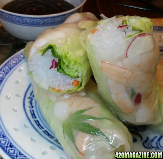 Canna_spring_rolls_1