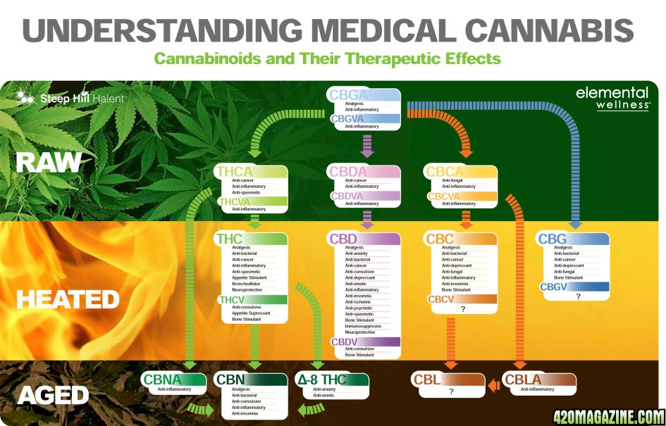 Cannabinoid Conversion Chart | 420 Magazine