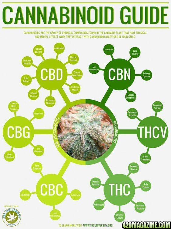 Cannabinoid Infographic | 420 Magazine