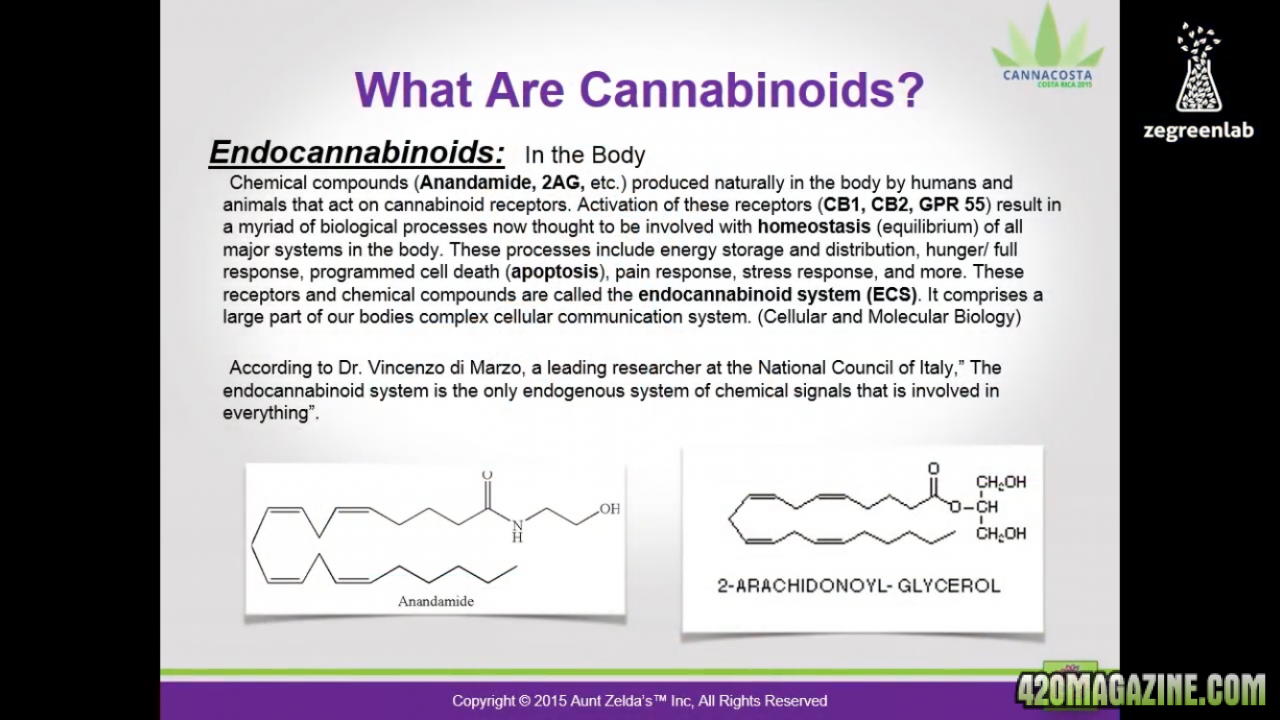 Cannabinoids: endogenous