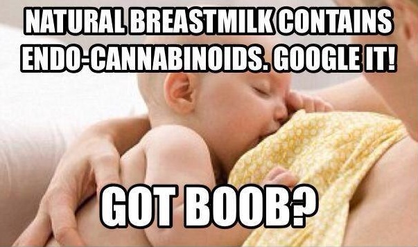 Cannabinoids in breast milk