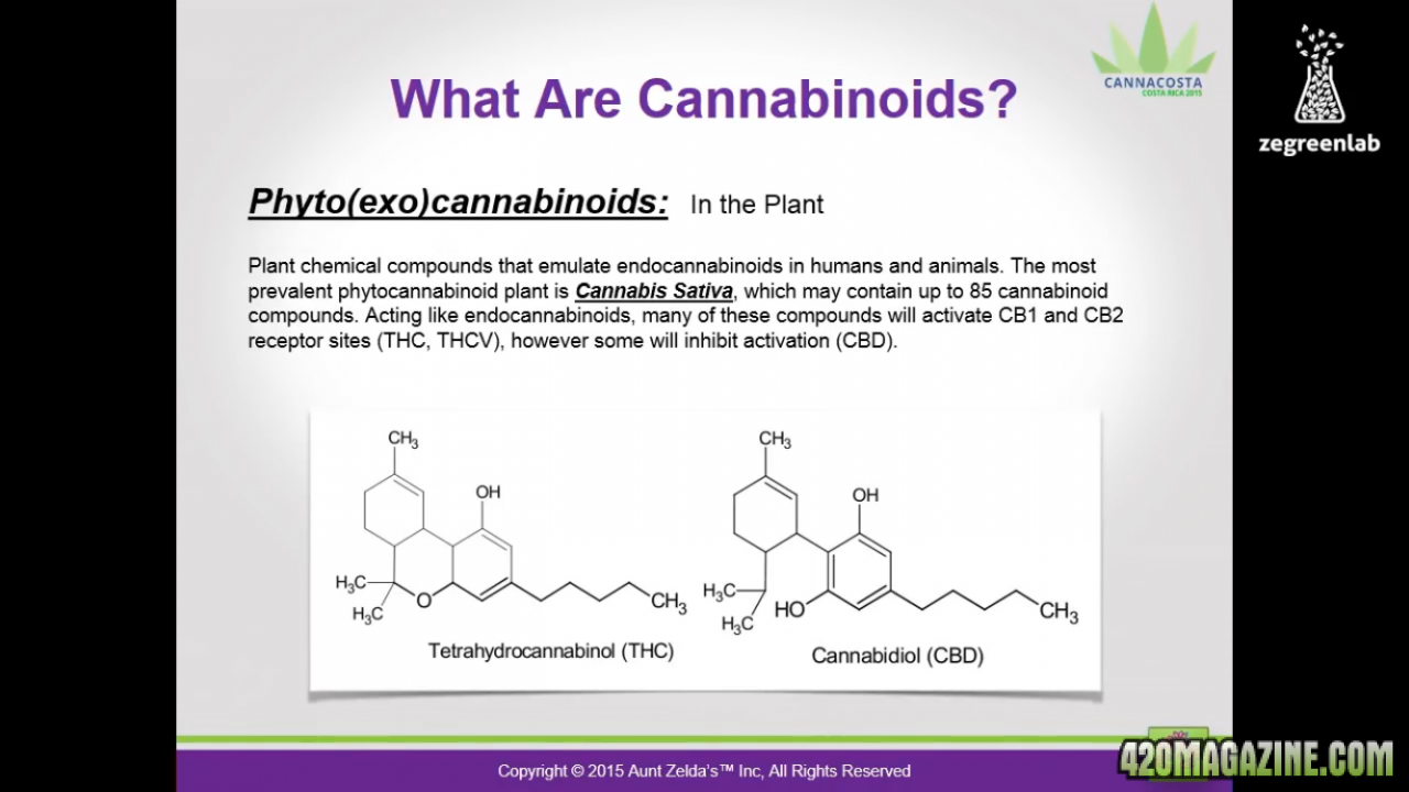 Cannabinoids: phyto(exo)