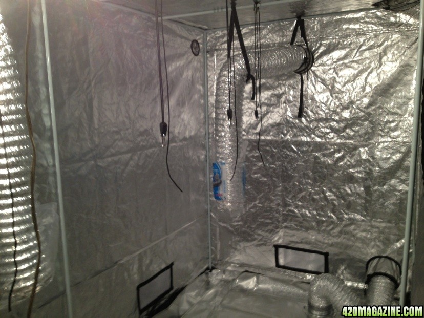 Cannabis 1 Grow Room