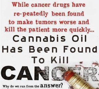 Cannabis &amp; Cancer