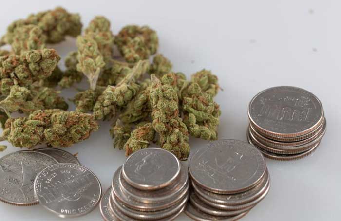 Cannabis and Coins - Tom Sydow