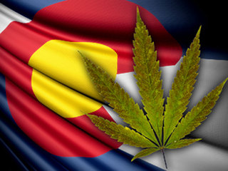 Cannabis And Colorado