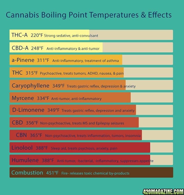 Cannabis Boiling Point Temperatures & Effects Infographic 420 Magazine