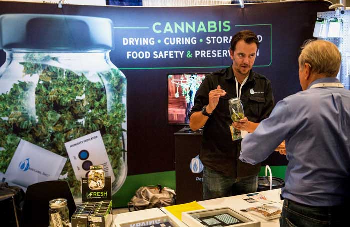 Cannabis Convention - Andrew Burton